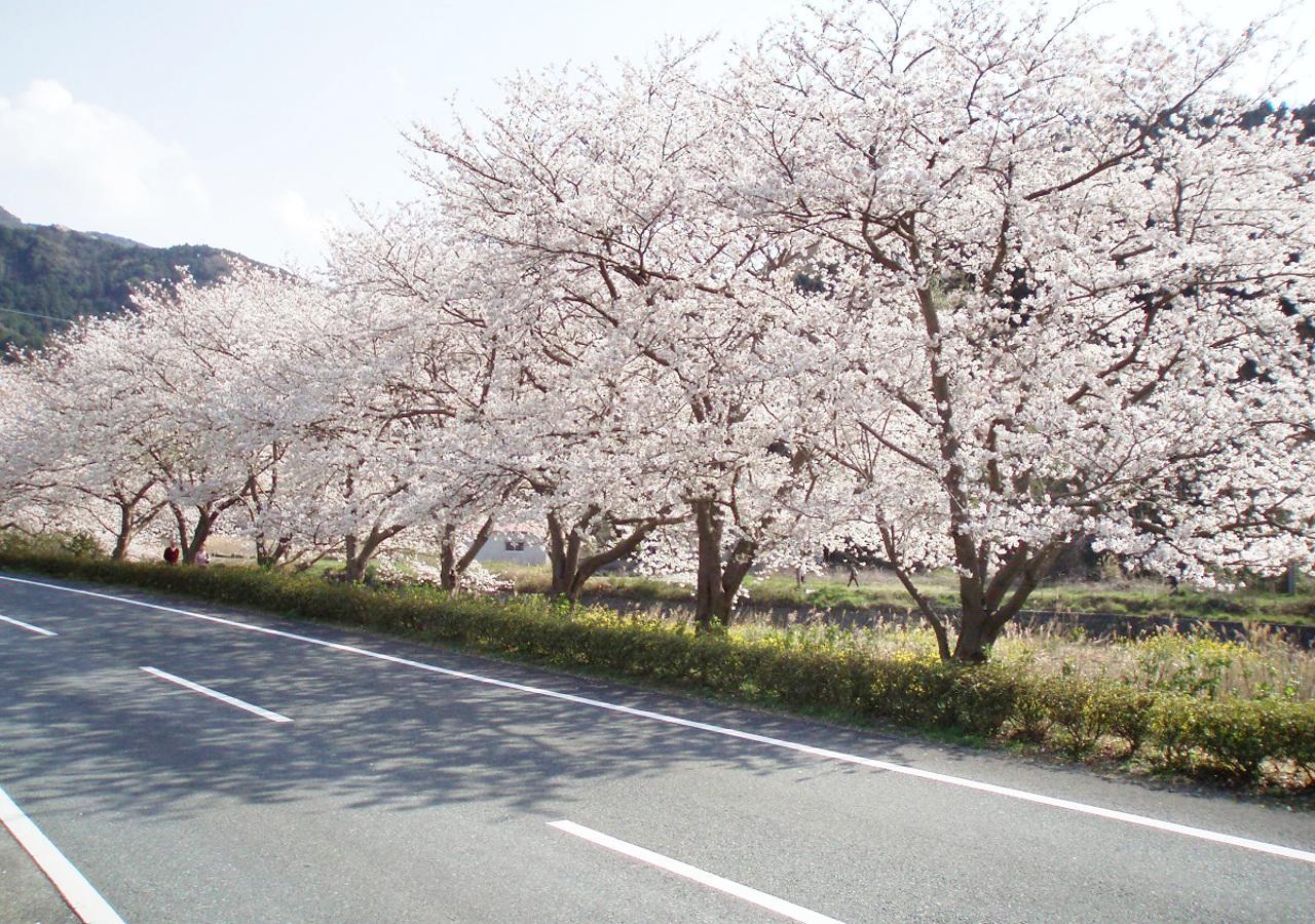 Nishiizu Matsuzaki Itoen Hotel Exteriör bild